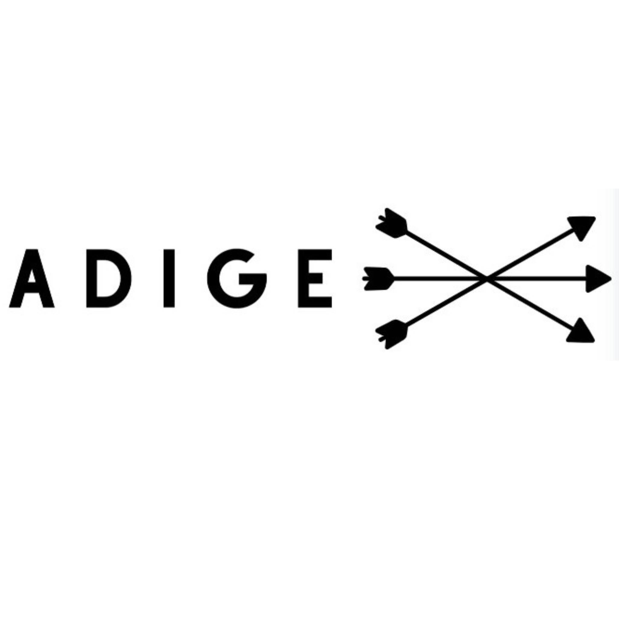 ADİGE DIŞ TİCARET logosu